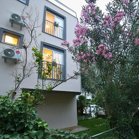 Lemon Garden