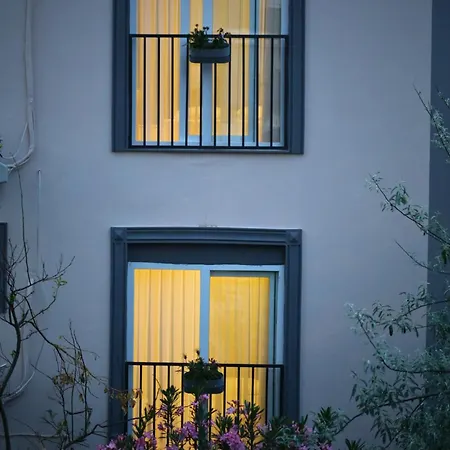 Lemon Garden