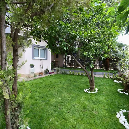 Lemon Garden Homestay
